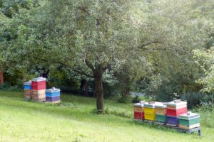 Standort Dalhausen