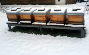 Winter in Steinheim 2018